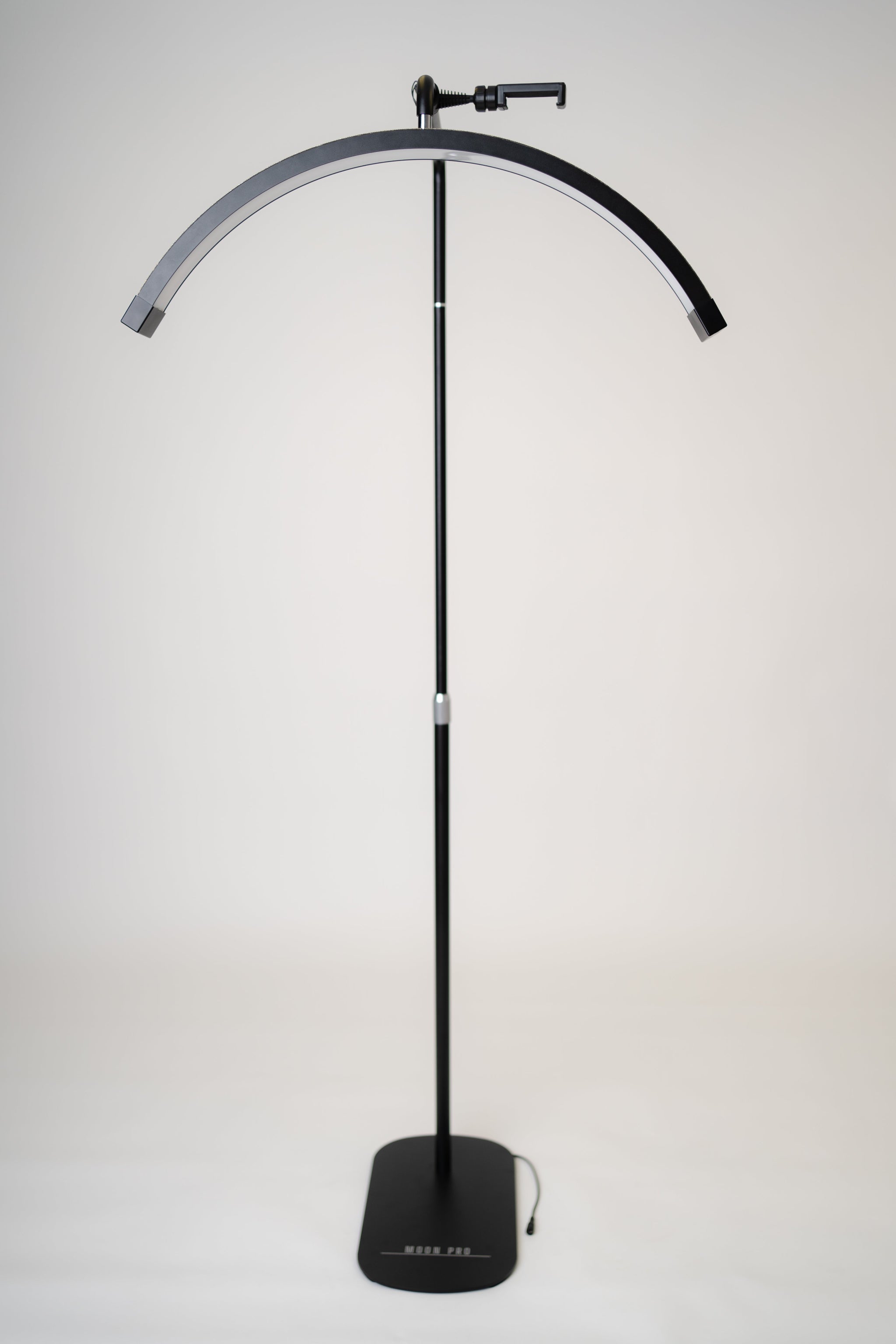 Black Beauty Mondlicht