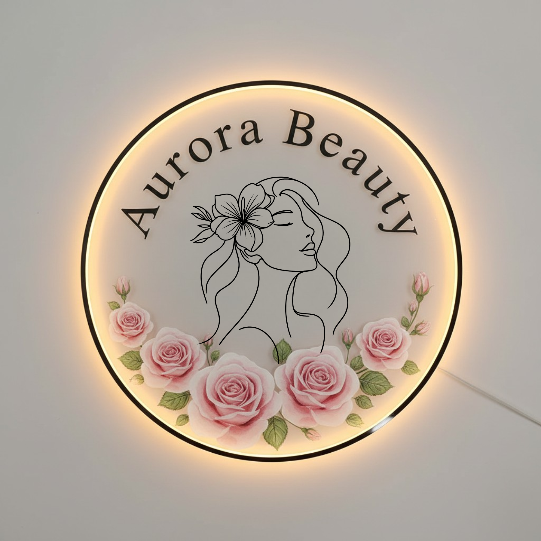 Custom Acrylic Back Lit LED Logo Sign