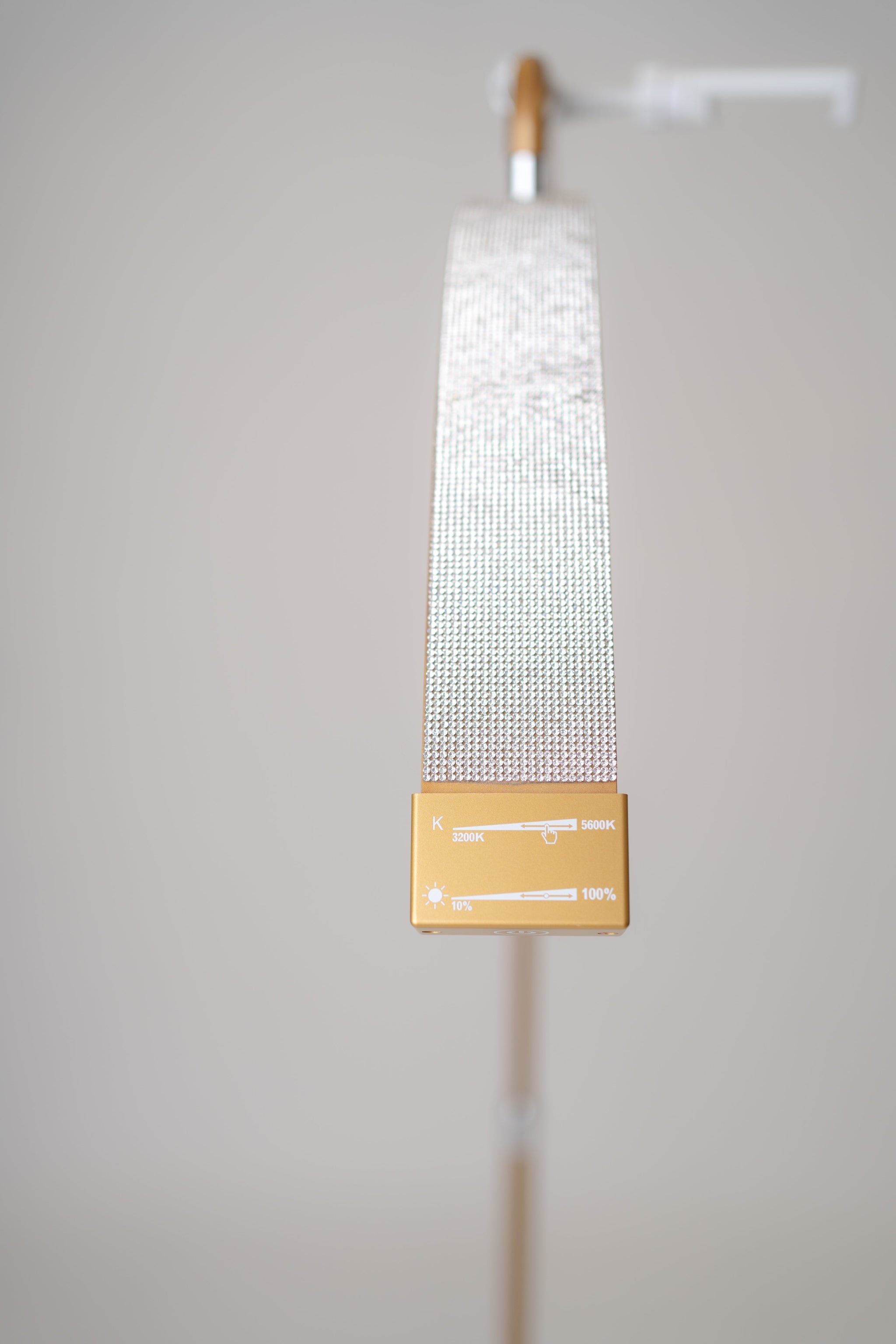 PMU beauty lamp